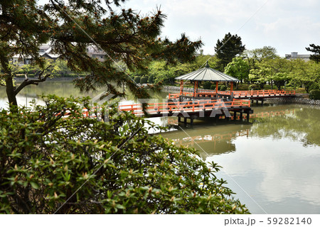 九華公園 橋 お堀 九華公園 橋 お堀 59282140