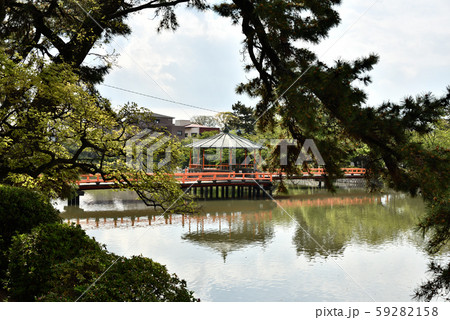 九華公園 橋 お堀 九華公園 橋 お堀 59282158