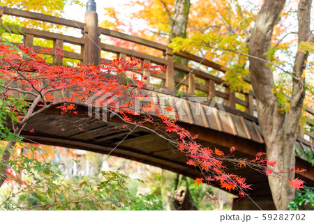 熱海梅園の紅葉 59282702