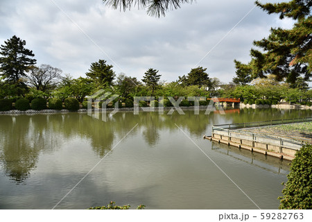 九華公園 橋 お堀 九華公園 橋 お堀 59282763