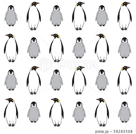 Vector seamless pattern of penguin with baby 59283508