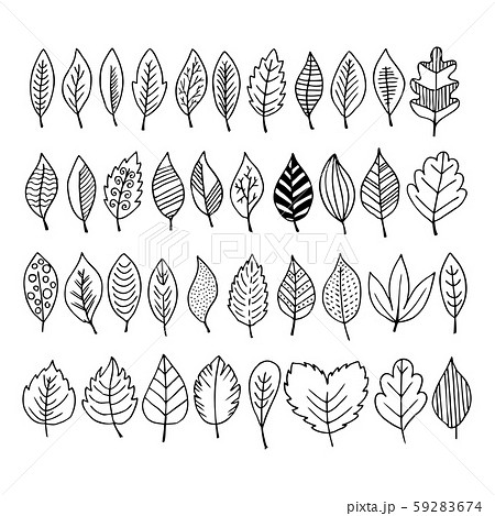 Elegant and beautiful autumn leaves and elements. Bright images for Thanksgiving Day Elegant and beautiful autumn leaves and elements. Bright images for Thanksgiving Day 59283674