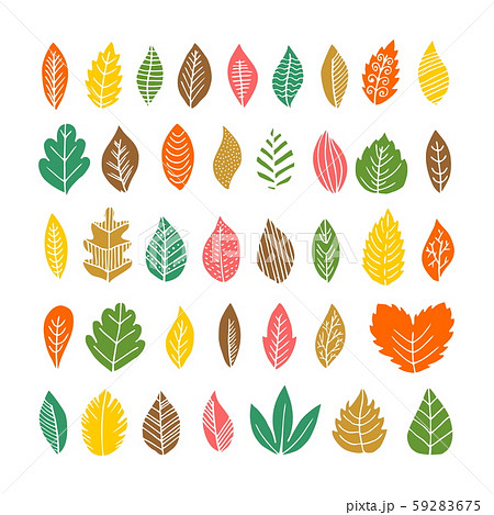 Elegant and beautiful autumn leaves and elements. Bright images for Thanksgiving Day Elegant and beautiful autumn leaves and elements. Bright images for Thanksgiving Day 59283675