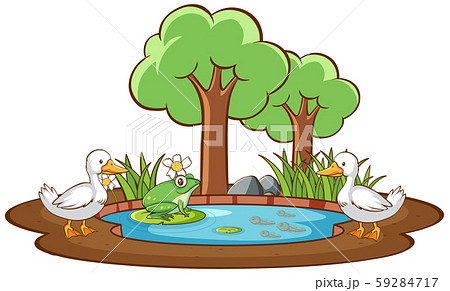 Isolated Picture Of Duck And Frog In The Pondのイラスト素材