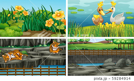 Four different scenes of nature 59284914