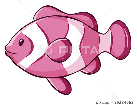 Pink clownfish on white background - Stock Illustration [59284962] - PIXTA
