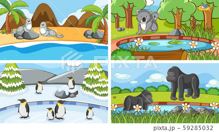 Background scenes of animals in the wild Background scenes of animals in the wild 59285032