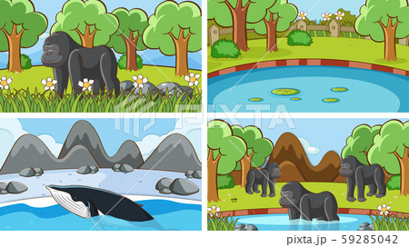 Background scenes of animals in the wild Background scenes of animals in the wild 59285042