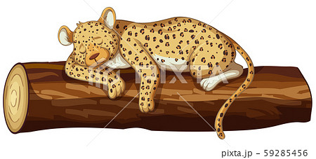 Cheetah Sleeping On Logのイラスト素材