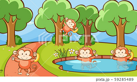 Scene with monkeys in the forest 59285489