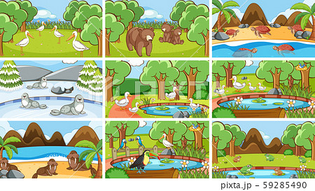 Background scenes of animals in the wild Background scenes of animals in the wild 59285490