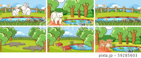 Background scenes of animals in the wild Background scenes of animals in the wild 59285603
