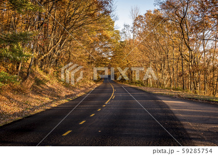 Vibrant colors in Blue Ridge Parkway roads during sunset at the Golden Hour Vibrant colors in Blue Ridge Parkway roads during sunset at the Golden Hour 59285754