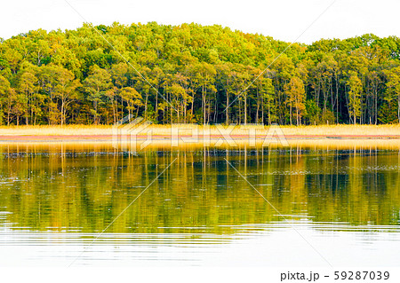 鶴沼原生花園 　湧別町 59287039