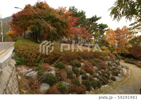 詩人 彰義門 独立運動 59291981