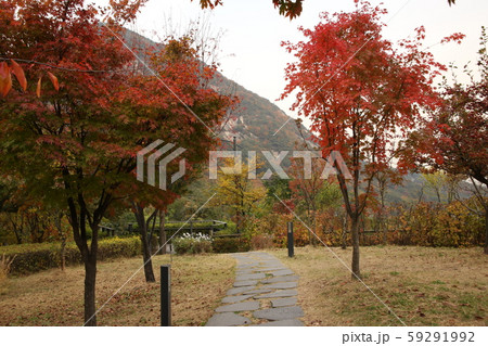 詩人 彰義門 独立運動 59291992