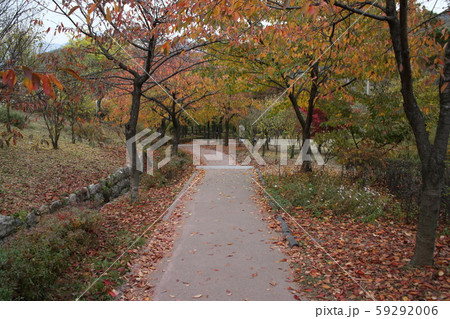 詩人 彰義門 独立運動 59292006