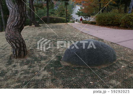 詩人 彰義門 独立運動 59292025