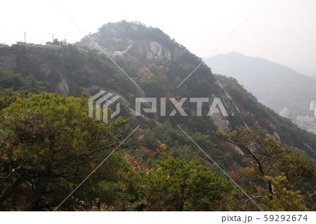 仁王山 岩山 城の道 59292674