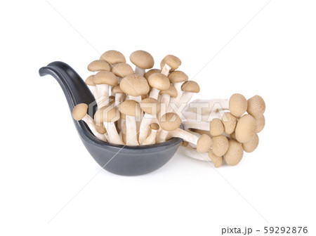 fresh buna shimeji (brown beech) mushroon in black fresh buna shimeji (brown beech) mushroon in black 59292876