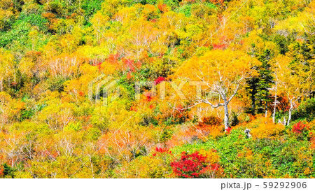 栂池自然園 (秋) 栂池自然園 (秋) 59292906