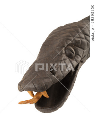 Creeping wooden snake isolated on a white Creeping wooden snake isolated on a white 59293250