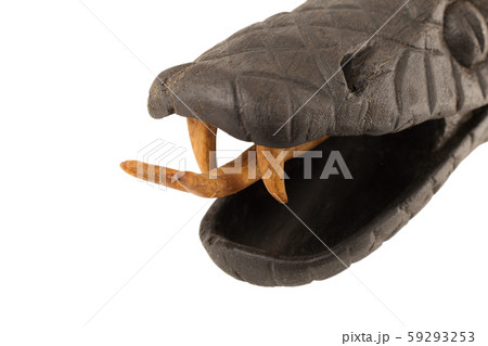 Creeping wooden snake isolated on a white Creeping wooden snake isolated on a white 59293253