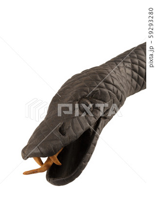 Creeping wooden snake isolated on a white Creeping wooden snake isolated on a white 59293280