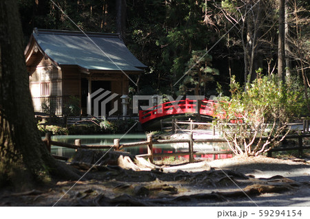 初春の小國神社 59294154