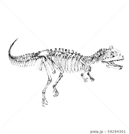 Dinosaur Bone 恐竜の骸骨のイラスト素材