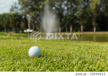 Golf ball on green grass background Golf ball on green grass background 59294913