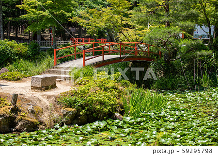 朱橋と中の島 大原野神社鯉沢の池 59295798