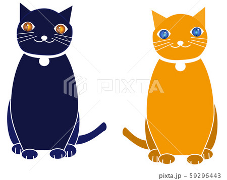 二匹の猫カメラ目線 二匹の猫カメラ目線 59296443