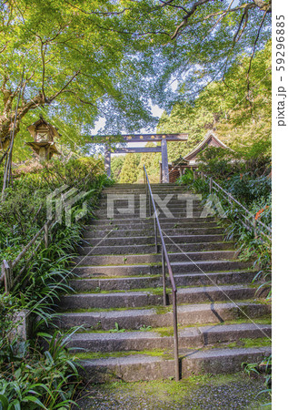 京都の日向大神宮 京都の日向大神宮 59296885