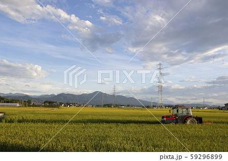 盛夏・五泉市の田園風景 59296899