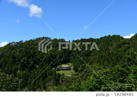 森林と共に暮らす一軒家 59298485