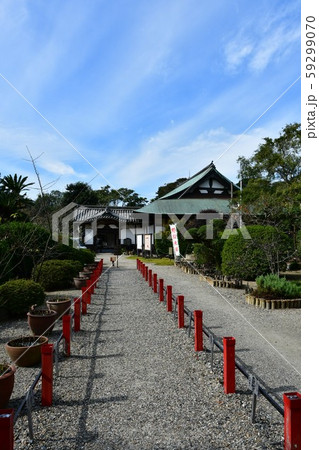 野間大坊 本殿 鐘楼堂 巡拝路 大門 悠紀殿 野間大坊 本殿 鐘楼堂 巡拝路 大門 悠紀殿 59299070