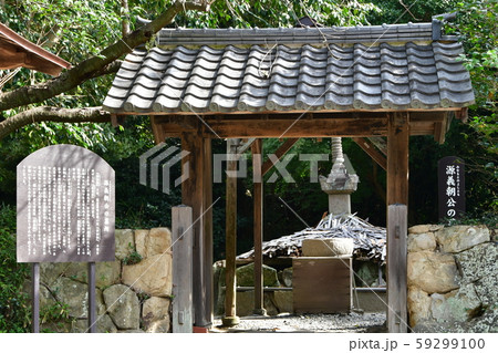 野間大坊　本殿　鐘楼堂　巡拝路　大門　悠紀殿 59299100