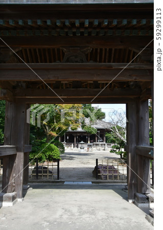 野間大坊 本殿 鐘楼堂 巡拝路 大門 悠紀殿 野間大坊 本殿 鐘楼堂 巡拝路 大門 悠紀殿 59299113