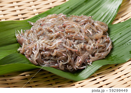 いかなご 59299449