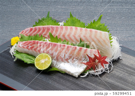 鯛 鯛 59299451