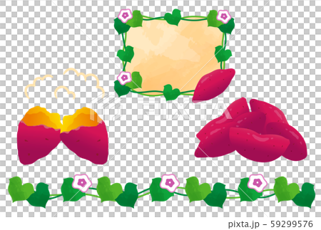 Sweet potato 59299576