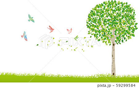 Tree Tree Trunk Branch Nature Green Leaf Fresh Stock Illustration