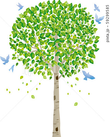 Tree Tree Trunk Branch Nature Green Leaf Fresh Stock Illustration