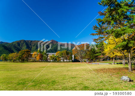 山梨県 秋の河口湖美術館 芝生広場の写真素材
