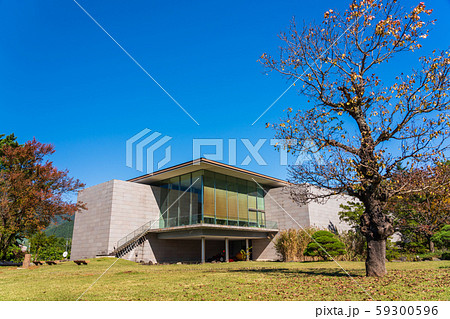 山梨県　秋の河口湖美術館　芝生広場 59300596