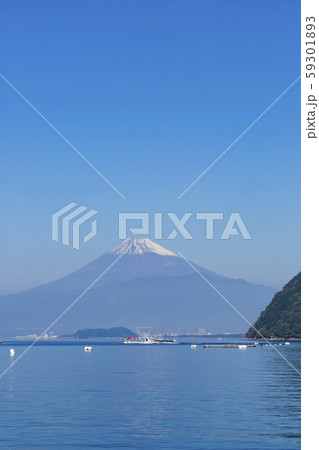 伊豆三津浜から富士山 59301893