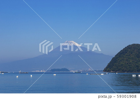 伊豆三津浜から富士山 59301908