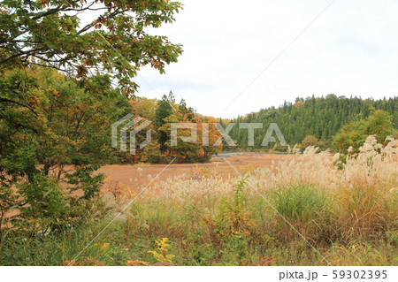 木地山高原の苔沼 59302395