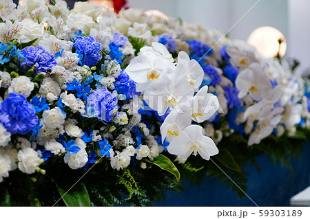 祭壇花 59303189
